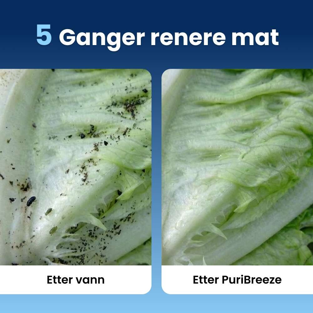 PuriBreeze image