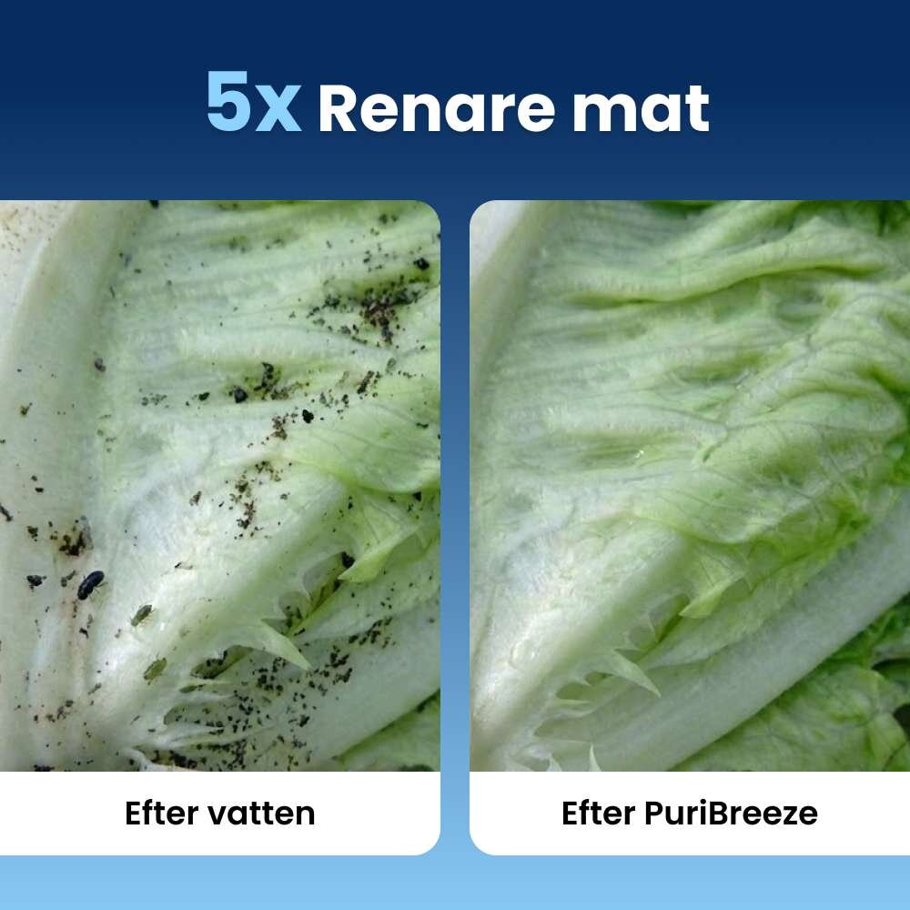 PuriBreeze image